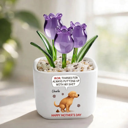 Gemini_Generated_Image_9qtxts9qtxts9qtx