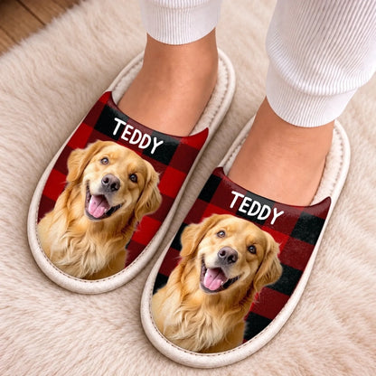 10009